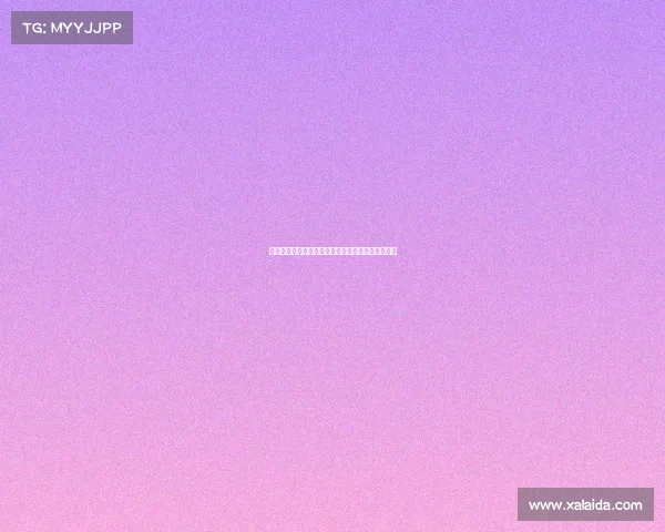 荷兰足球基金会助力退役球员成功转型与再就业探索